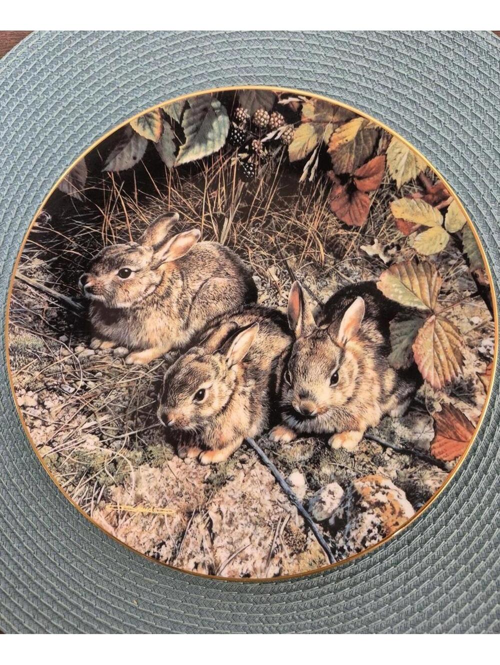 Limited Edition "Shy Explorers" Numbered Plate by Carl Brenders - 1990